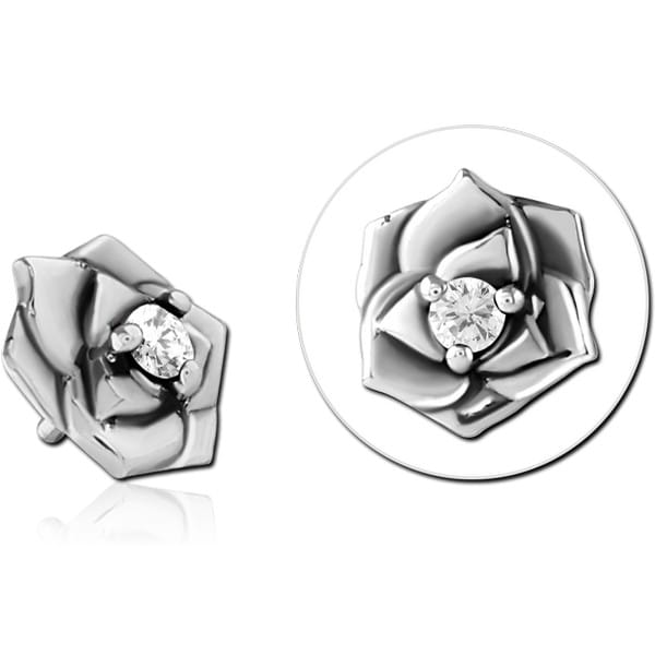 INSCJ244-1.2-CR