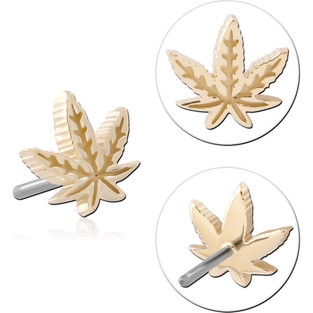 14K YELLOW GOLD TOP WITH TITANIUM THREADLESS PIN DETAILED LEAF