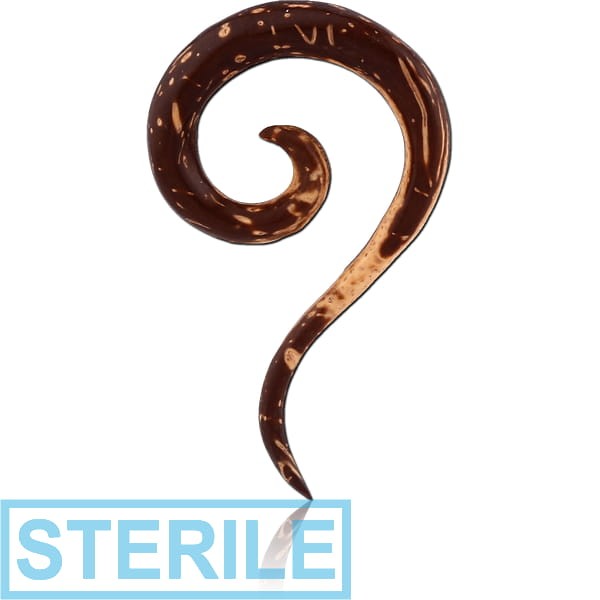 STERILE ORGANIC COCONUT SHELL EAR SPIRA PLAIN THAI