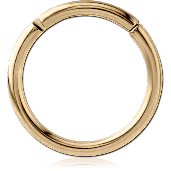 STERILE ZIRCON GOLD PVD COATED TITANIUM HINGED SEGMENT RING