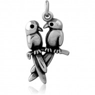 SURGICAL STEEL CHARM