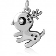 SURGICAL STEEL CHARM