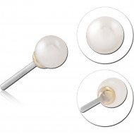 14K GOLD FRESH WATER PEARL BALL 2MM JEWELED ATTACHMENT TITANIUM THREADLESS PIN