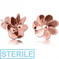 STERILE ROSE GOLD PVD COATED SURGICAL STEEL EAR STUDS PALR PIERCING