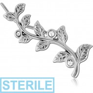 STERILE SURGICAL STEEL JEWELLED EAR VINE - RIGHT
