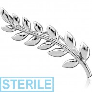 STERILE SURGICAL STEEL EAR VINE - RIGHT