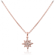 ROSE GOLD PVD COATED SURGICAL STEEL JEWELLED NECKLACE WITH PENDANT