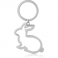 SURGICAL STEEL CHARM WITH STEEL LOCKER