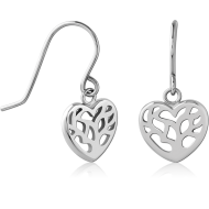 SURGICAL STEEL EARRINGS PAIR