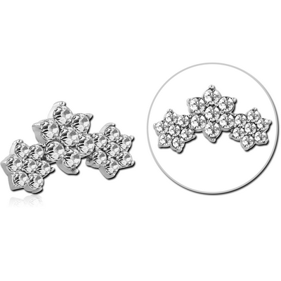 INSCJ107-1.2-CR